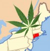 Connecticut Low Level Marijuana Possession Arrests Drop by 76 Percent Post-Decriminalization Law