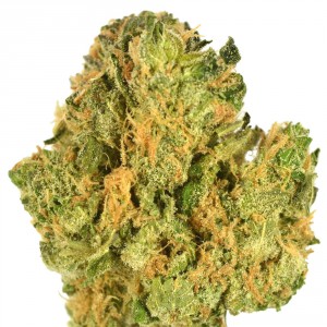 Source: http://www.harborsidehealthcenter.com/