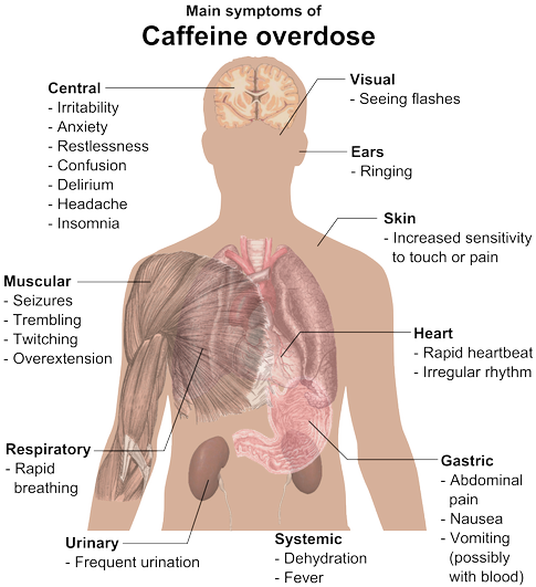 Source: Source: http://en.wikipedia.org/wiki/Caffeine