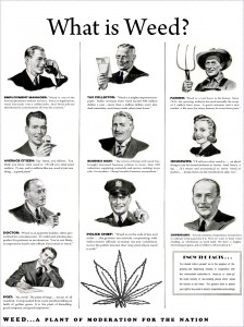 Source: http://www.northernwinorml.org/2011/02/01/weed-plant-moderation-nation/