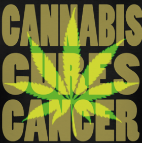 Video: Proof That Marijuana Can Cure Cancer!