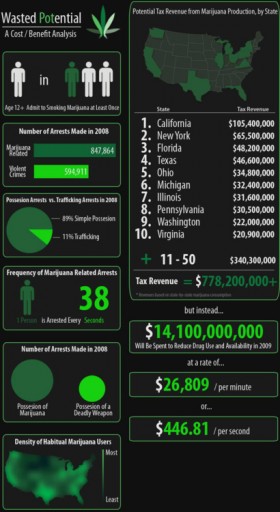 Wasted Potential Infographic