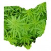 17 Year Old Drug Czar Arrested in Ohio