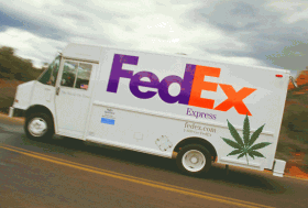 FedEx Delivers Pound of Pot to Connecticut Office…