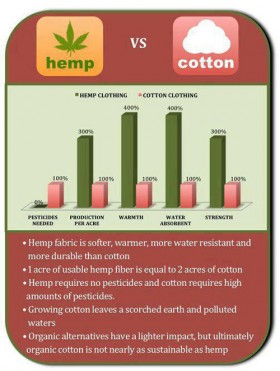 Infographic: Hemp vs. Cotton