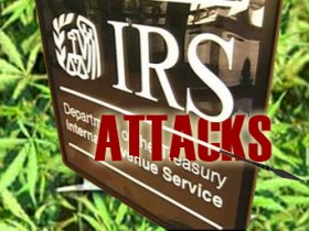 IRS Stunting the Green Rush With Crippling Tax Rates