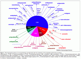 Tailoring Your High: Medical Properties of Cannabis Defined