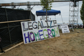 Reflections on Seattle HempFest: Marijuana Acceptance