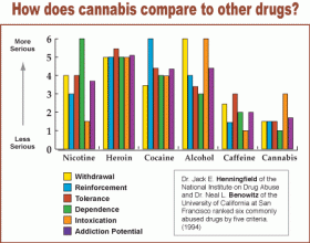 Infographic: Another Reminder That Marijuana is Safe