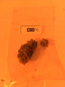 The First Annual 'The Hemp Connoisseur': Part 3: Strain Reviews 2; Source: Prospero