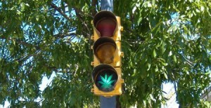 Cannabis and Driving | source: http://api.ning.com/files/cpVNvX3XN0weuYNd3XLJotA9rsnoe7gVG6RP3iKEDsmpKV9M7SfwraEKLuJH-T-qQaRwLSy2v7EELnQddO7nf83eozQO9XJH/marijuanatrafficlight.jpg