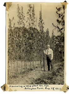 Lyster Dewey Hemp Source: http://www.google.com/imgres?hl=en&sa=X&biw=1119&bih=1004&tbm=isch&prmd=imvnso&tbnid=r6MHIW9_WdafKM:&imgrefurl=http://www.washingtonpost.com/wp-dyn/content/gallery/2010/05/13/GA2010051302798.html&docid=BTXqrl2duJ4LmM&imgurl=http://media3.washingtonpost.com/wp-srv/photo/gallery/100513/GAL-10May13-4560/media/PHO-10May13-224115.jpg&w=347&h=470&ei=uElNUO2BJ8POiwLDvIDADg&zoom=1&iact=hc&vpx=119&vpy=129&dur=3690&hovh=261&hovw=193&tx=121&ty=141&sig=106820017776153515264&page=1&tbnh=161&tbnw=110&start=0&ndsp=27&ved=1t:429,r:0,s:0,i:76