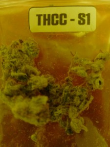 The First Annual "The Hemp Connoisseur': Part 2: Strain Reviews 1; Source: Prospero
