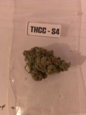 The First Annual ‘The Hemp Connoisseur’: Part 2: Strain Reviews 1