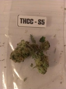 The First Annual 'The Hemp Connoisseur': Part 3: Strain Reviews 2; Source: Prospero