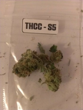 The First Annual ‘The Hemp Connoisseur’: Part 3: Strain Reviews 2