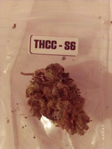 The First Annual ‘The Hemp Connoisseur’: Part 4: Strain Reviews 3; Source: Prospero