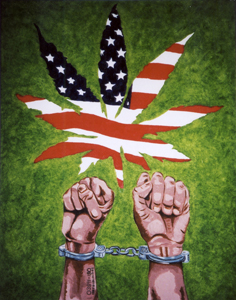Marijuana Arrests Decline in 2011, but Still Total Half of All Illicit Drug Violations