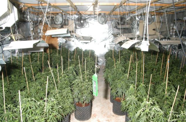 Source http://www.dailymail.co.uk/news/article-2219477/Cannabis-factory-couple-gave-400-000-drug-dealing-fortune-poor-Kenyans-jailed-years.html