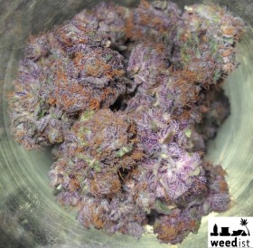 My Favorite Strains: Grape Ape, Info and Eye Candy