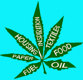 Video: Hemp Can Save the World