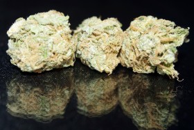 SMC medical marijuana - Blue Dream web, Source: , Source: https://www.facebook.com/SeriousMedicineCollective