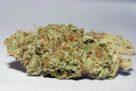 SMC medical marijuana - Sensi Star web, Source: , Source: https://www.facebook.com/SeriousMedicineCollective
