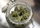 Legalized Marijuana: What It Means for Workers