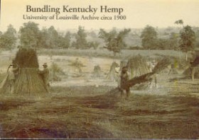 Marijuana Measures Strengthen Hemp Efforts in Kentucky