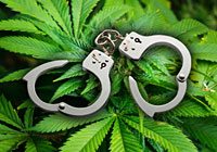 Study: Those Arrested for Minor Pot Offenses Unlikely to Subsequently Commit Violent Crimes