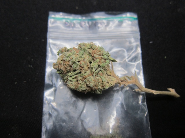 Shoreline strain from Green Place coffeeshop, Source: Delta9
