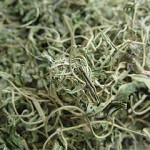 http://www.cannabisculture.com/articles/2675.html