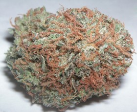 My Favorite Strains: Bubba Kush