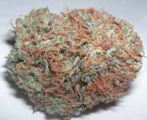 Bubba_Kush  Source: http://en.wikipedia.org/wiki/File:Bubba_Kush.jpg