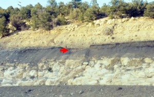 End of the Mesozoic, Source:http://upload.wikimedia.org/wikipedia/commons/5/57/K-T_boundary.jpg