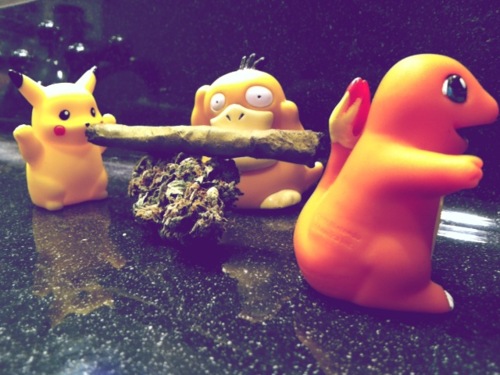 Piece of the Week | Pokemon Paraphernalia