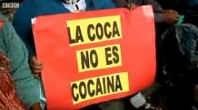 Bolivia Rejoins UN Drug Treaty, Sans Coca Ban