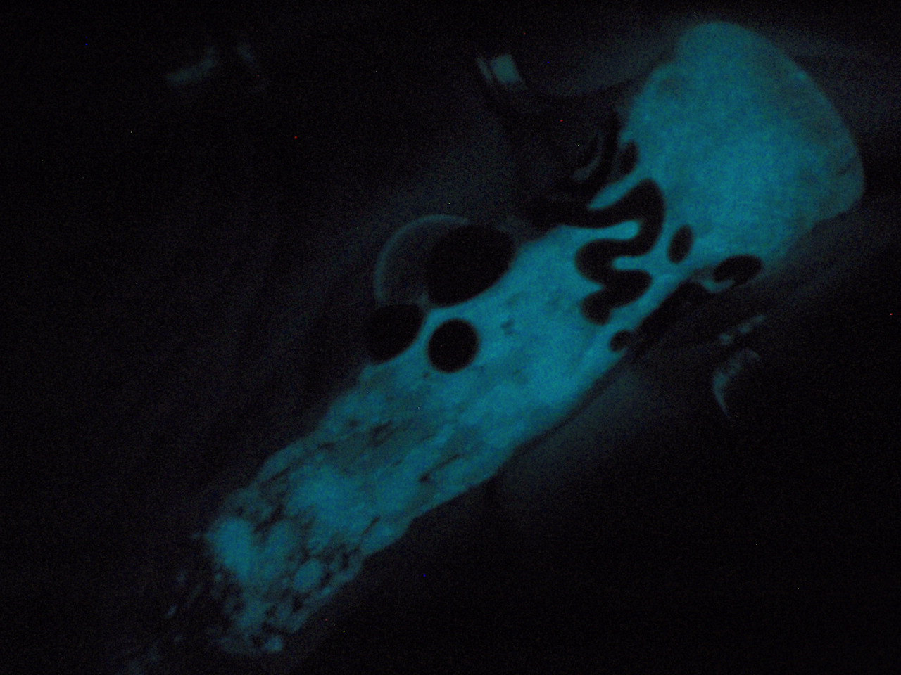 Piece of the Week | Glow in the Dark Paraphernalia - Chillum