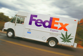 7 lbs of Cannabis: World-class Screw-up at Fedex, Mom Says