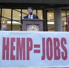 Industrial Hemp Farming Legislation Reintroduced in Congress