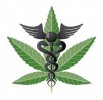 Company Established to Develop Disease Treatments with MMJ