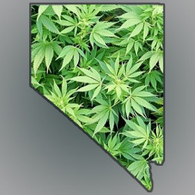 Nevada Senator Working on Medical Marijuana Dispensary Bill