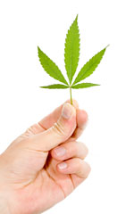 NH Adults Support Selling Marijuana at State Liquor Stores