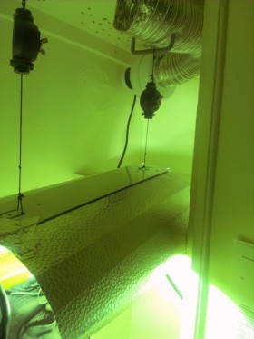 Shade and blower, juice cannabis, Source: Prospero