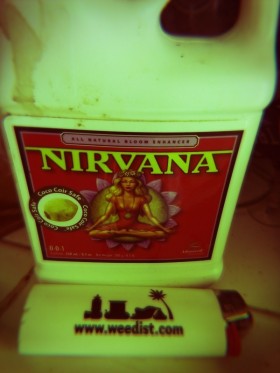 nirvana advanced nutrients source: prospero