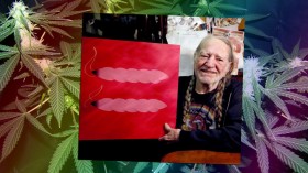 Willie Nelson Explains How Marijuana Can Be Deadly