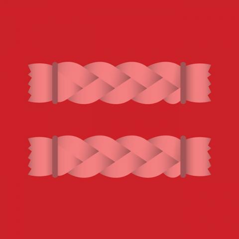 willie nelson endorsing gay marriage 3 Source http://www.texasmonthly.com/sites/default/files/styles/large/public/willie_equality_braids.jpg