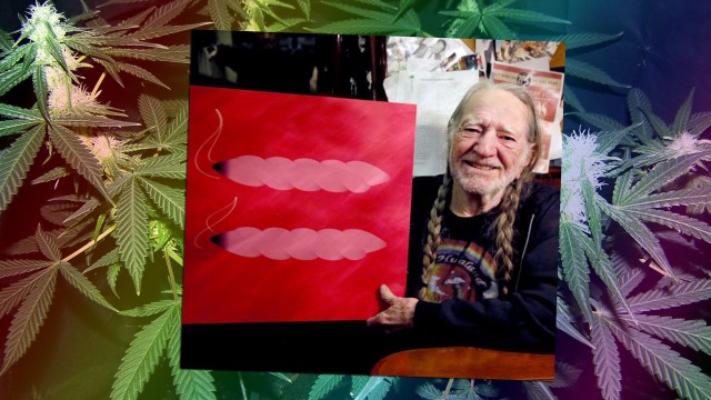Source http://content.animalnewyork.com/wp-content/uploads/weed-nelson-marriage-gay.jpg