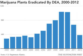 Marijuana Eradication by Law Enforcement Plummets Over 60 Percent