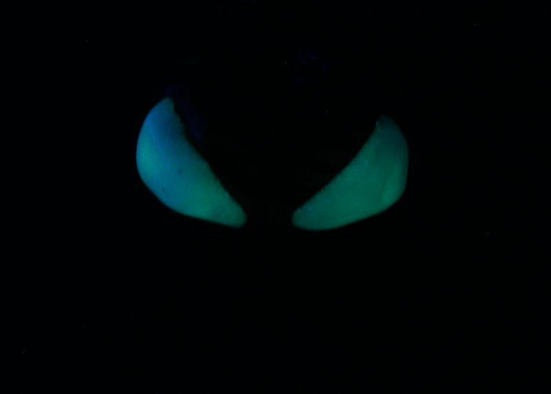 Spider Man Pipes - Spoon Glow in the Dark Eyes